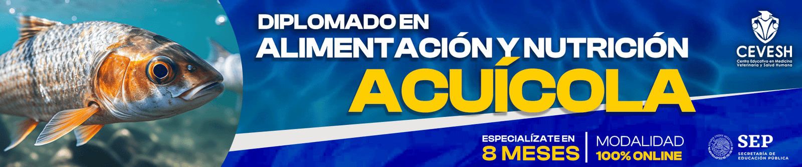 Cuidados Intensivos